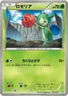 Product image for Roselia