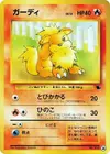 Product image for Growlithe