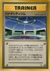 Product image for Cerulean City Gym