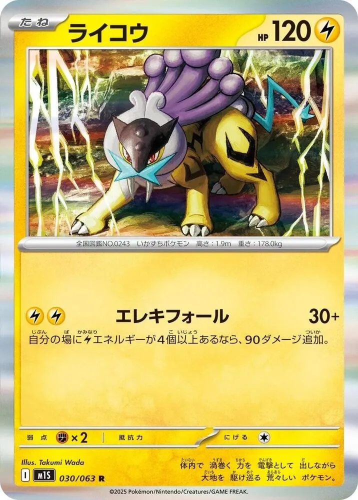 Raikou — m1S: Mega Symphonia — Pokemon Japan