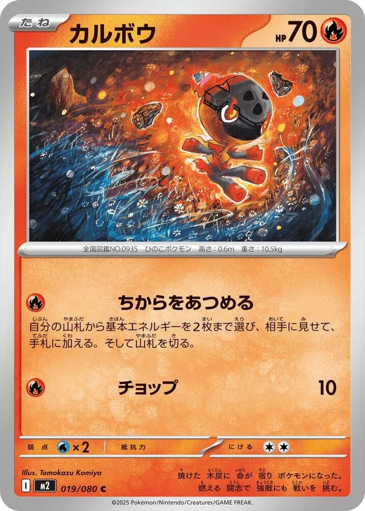 Charcadet — M2: Inferno X — Pokemon Japan