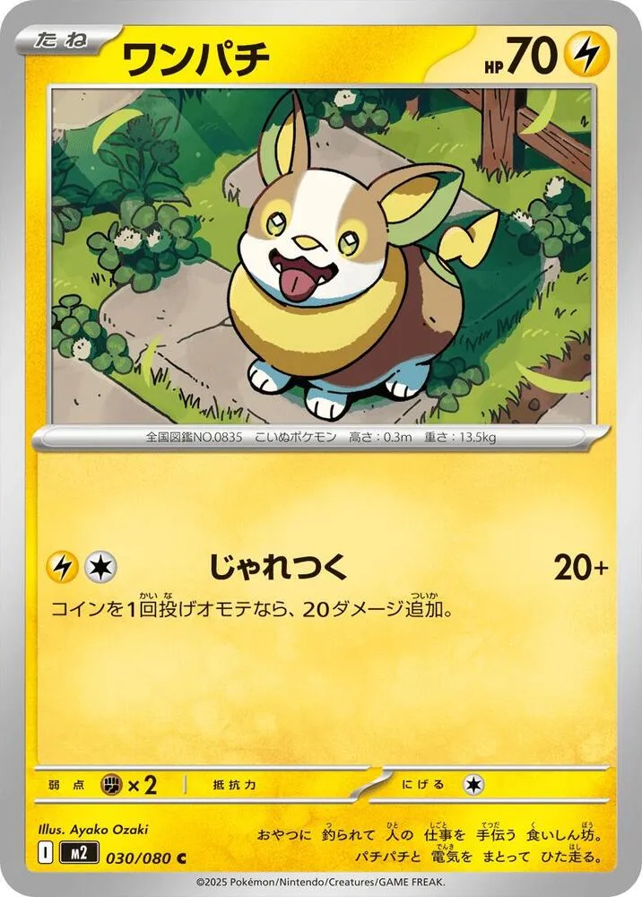 Yamper — M2: Inferno X — Pokemon Japan