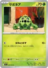 Product image for Cacnea