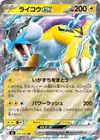 Product image for Raikou ex