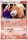 Product image for Team Magmas Camerupt