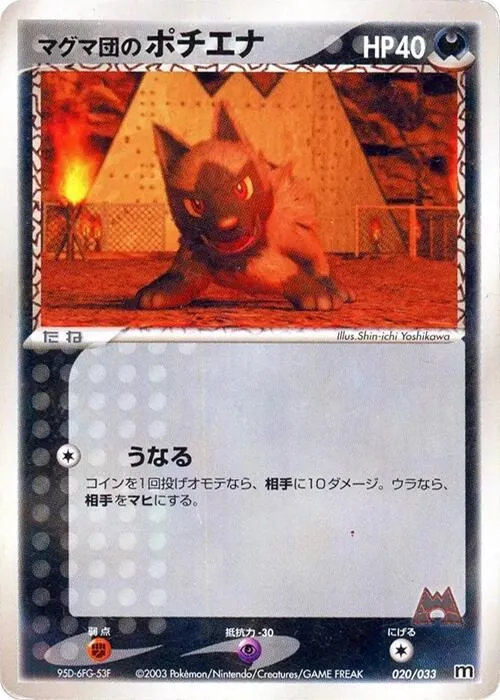 Team Magmas Poochyena — Magma Deck Kit — Pokemon Japan