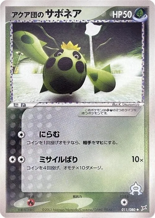 Team Aquas Cacnea — Magma VS Aqua: Two Ambitions — Pokemon Japan