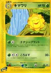 Product image for Sunflora