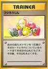 Product image for Mr Fuji