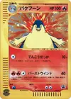 Product image for Typhlosion 017 P
