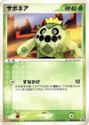 Product image for Cacnea