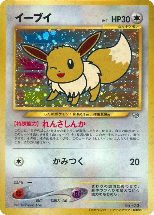 Eevee — Pokemon Card Fan Club — Pokemon Japan