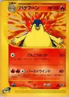 Product image for Typhlosion