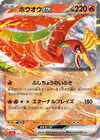 Product image for Ho oh ex