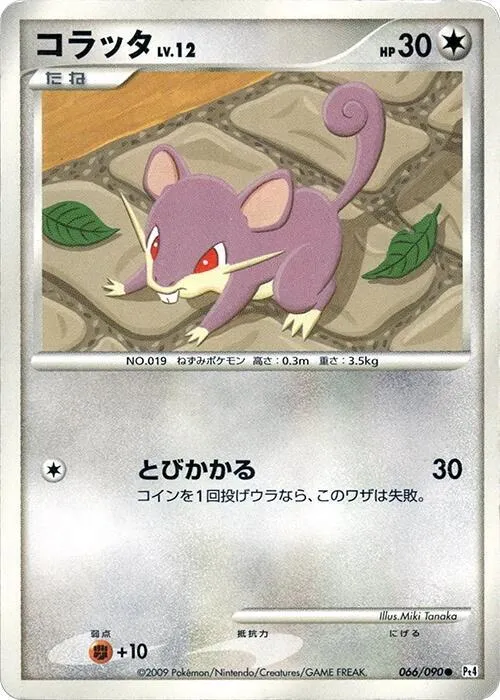 Rattata — Pt4: Advent of Arceus — Pokemon Japan