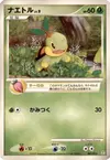 Product image for Tortipouss Lv.9