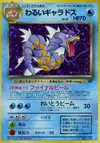 Product image for Dark Gyarados