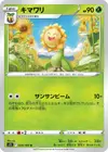 Product image for Sunflora