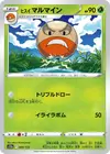 Product image for Hisuian Electrode