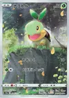 Product image for Turtwig