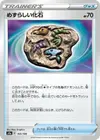 Product image for Rare Fossil