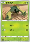 Product image for Cacnea