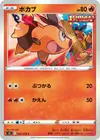 Product image for Tepig