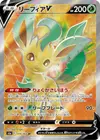 Product image for Leafeon V