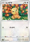 Product image for Teddiursa