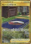 Product image for Training Court