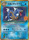 Product image for Dark Gyarados