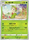 Product image for Chapignon