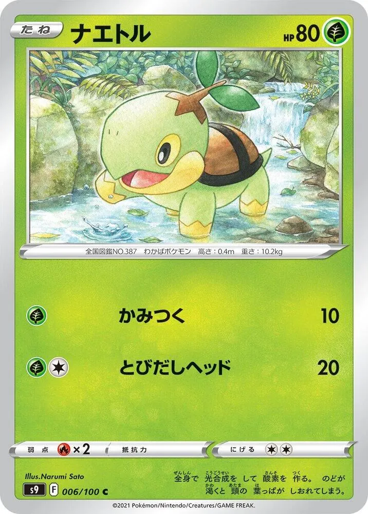 Turtwig — S9: Star Birth — Pokemon Japan