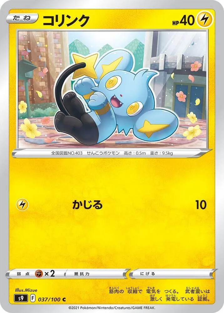 Shinx — S9: Star Birth — Pokemon Japan