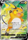Product image for Raichu V