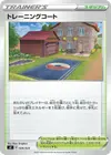 Product image for Training Court
