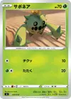 Product image for Cacnea