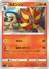 Product image for Pyroar