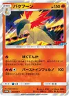 Product image for Typhlosion