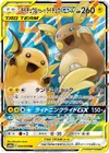 Product image for Raichu and Alolan Raichu GX