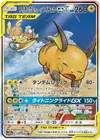 Product image for Raichu and Alolan Raichu GX