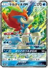 Product image for Keldeo GX