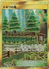 Product image for Viridian Forest