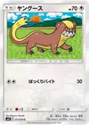 Product image for Yungoos