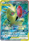 Product image for Mega Sableye and Tyranitar GX