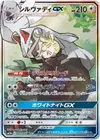 Product image for Silvally GX