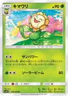 Product image for Sunflora