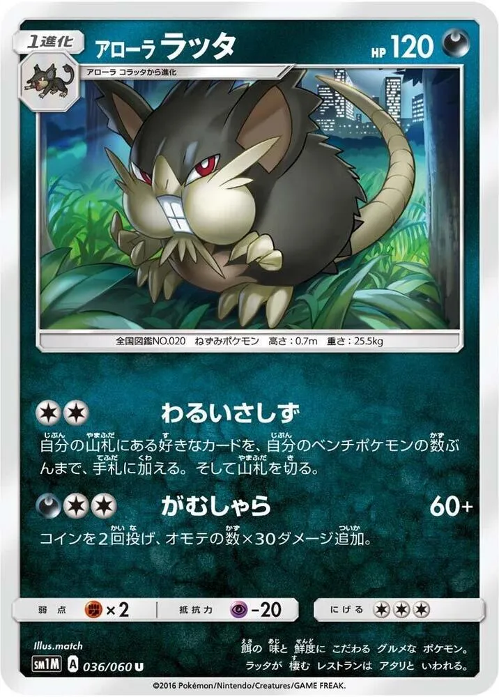 Alolan Raticate — SM1M: Collection Moon — Pokemon Japan
