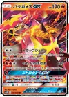 Product image for Turtonator GX