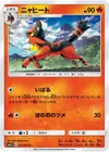 Product image for Torracat